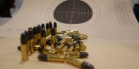 Foto: DSB / Die ursprünglich vorgesehene Beschränkung von bleihaltiger Kugelmunition für Gewehr und Pistole wurde aus dem Vorschlag entfernt.